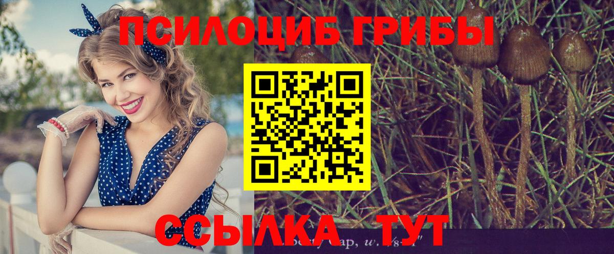 Балашиха  Псилоцибиновые грибы MAGIC MUSHROOMS  Галлюциногенные грибы Psilocybe  Вход с VPN 